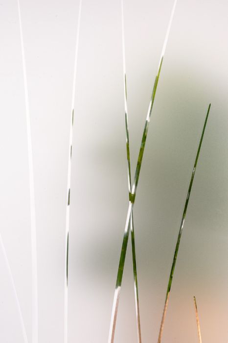 Emori - Courbes organiques